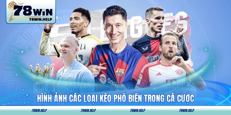 Hình ảnh các loại kèo phổ biến trong cá cược